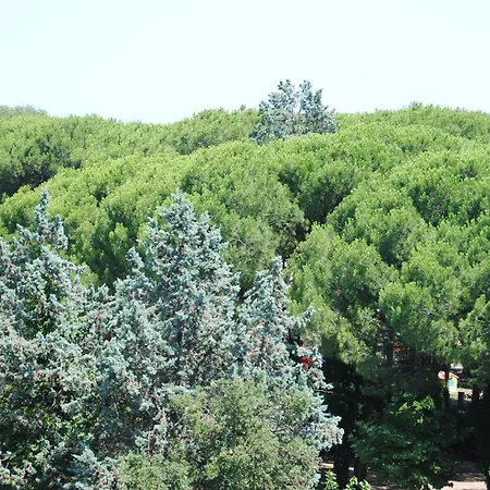 Отель Capriccio